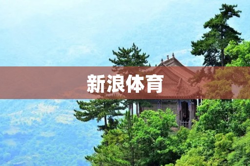 新浪体育：全方位报道体坛热点，精彩赛事尽在掌握