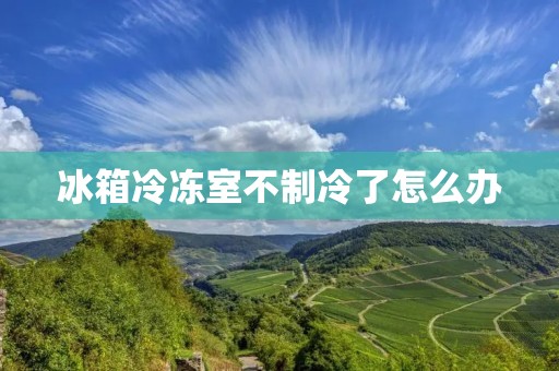 冰箱冷冻室不制冷了怎么办 冰箱冷冻室不制冷了怎么办
