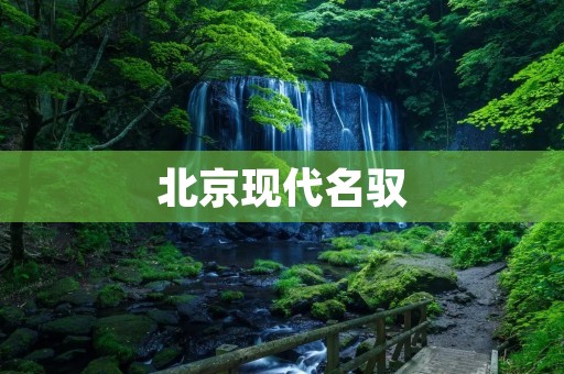 北京现代名驭:豪华座驾的代表 北京现代名驭:豪华座驾的代表