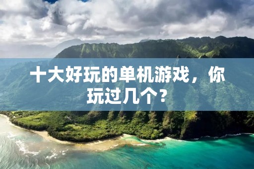 十大好玩的单机游戏,你玩过几个? 十大好玩的单机游戏,你玩过几个?