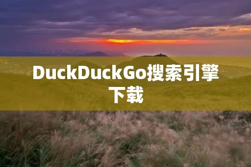 DuckDuckGo搜索引擎下载：保护隐私、高效搜索