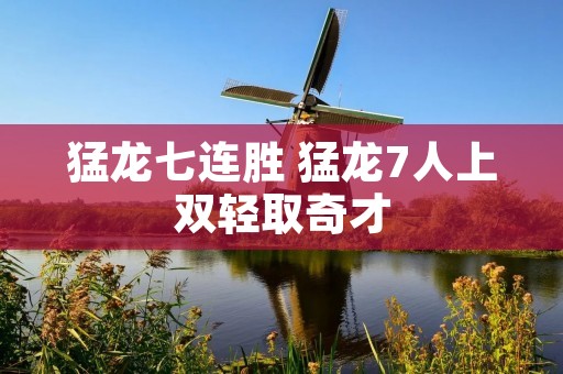 猛龙七连胜 猛龙7人上双轻取奇才