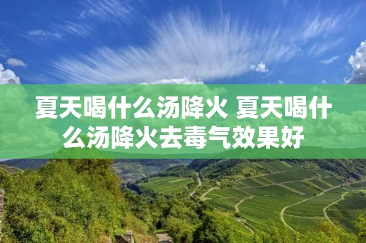 夏天喝什么汤降火 夏天喝什么汤降火去毒气效果好