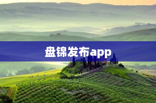 盘锦发布app：打造便捷高效的信息发布平台