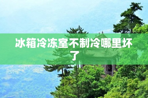 冰箱冷冻室不制冷哪里坏了 冰箱冷冻室不制冷哪里坏了