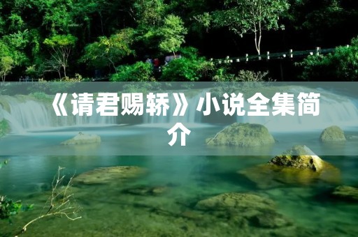 《请君赐轿》小说全集简介