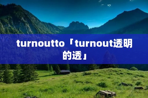 turnoutto「turnout透明的透」 turnoutto「turnout透明的透」