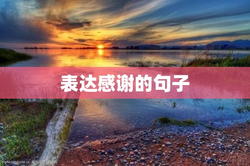 表达感谢的句子