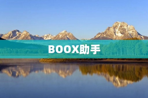 BOOX助手：激发阅读潜能，打造智能阅读生态