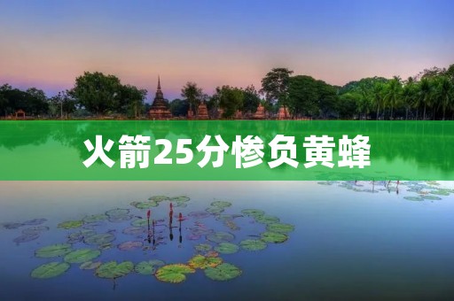 火箭25分惨负黄蜂:重伤之下的挫败与无助 火箭25分惨负黄蜂:重伤之下的挫败与无助