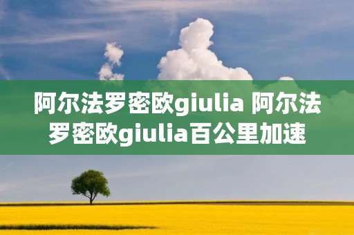 阿尔法罗密欧giulia 阿尔法罗密欧giulia百公里加速