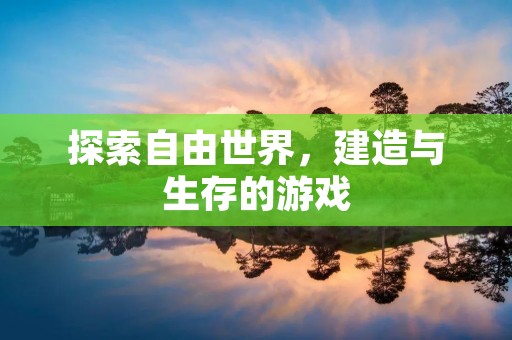 探索自由世界，建造与生存的游戏