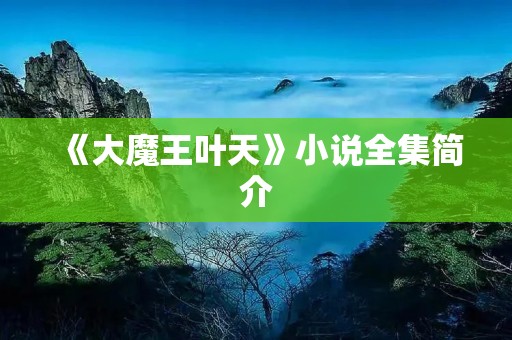 《大魔王叶天》小说全集简介
