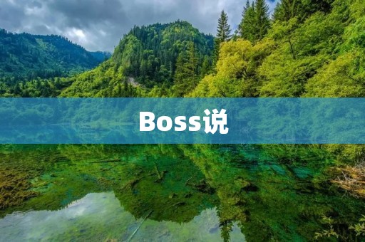 Boss说:领导力的重要性与培养方法 Boss说:领导力的重要性与培养方法