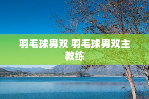 羽毛球男双 羽毛球男双主教练