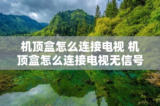 机顶盒怎么连接电视 机顶盒怎么连接电视无信号怎么回事 机顶盒怎么连接电视 机顶盒怎么连接电视无信号怎么回事