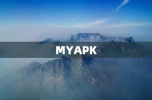 MYAPK:一个方便快捷的APK管理工具 MYAPK:一个方便快捷的APK管理工具