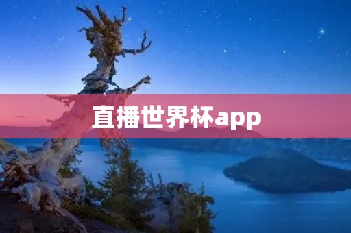 直播世界杯app：带你身临其境感受全球足球盛宴