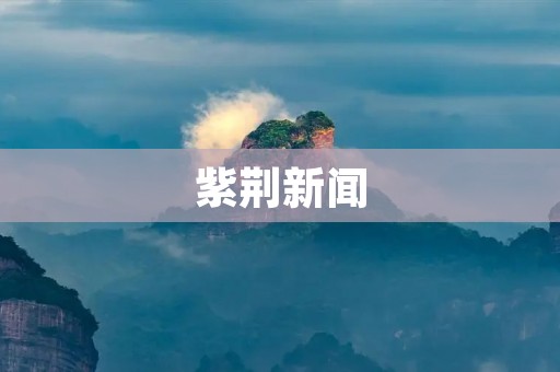 紫荆新闻:香港紫荆花开,庆祝回归24周年 紫荆新闻:香港紫荆花开,庆祝回归24周年