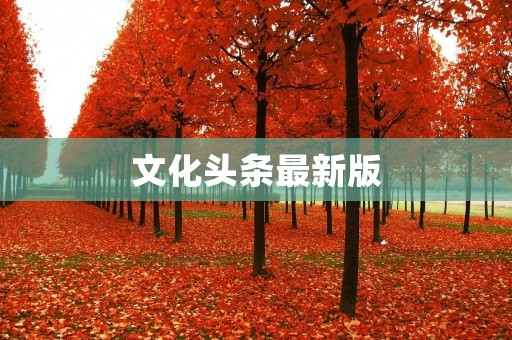 文化头条最新版：传统与现代的碰撞与融合