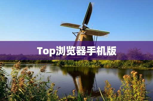 Top浏览器手机版：全面实用的移动浏览器工具