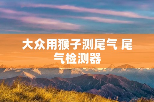 大众用猴子测尾气 尾气检测器