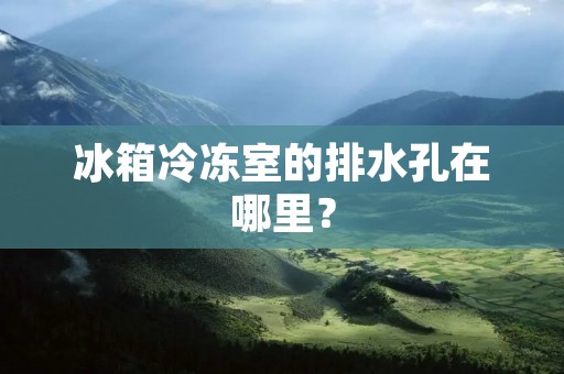 冰箱冷冻室的排水孔在哪里? 冰箱冷冻室的排水孔在哪里?