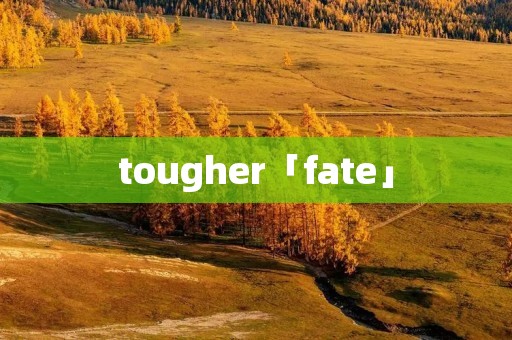 tougher「fate」 tougher「fate」