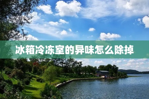 冰箱冷冻室的异味怎么除掉 冰箱冷冻室的异味怎么除掉