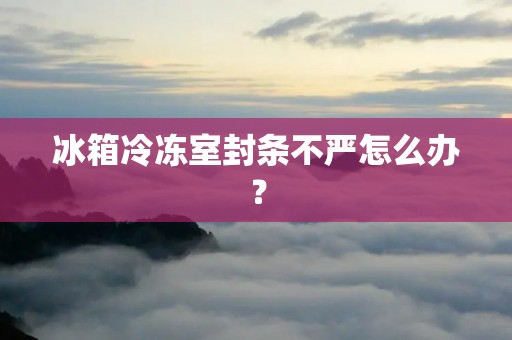 冰箱冷冻室封条不严怎么办？