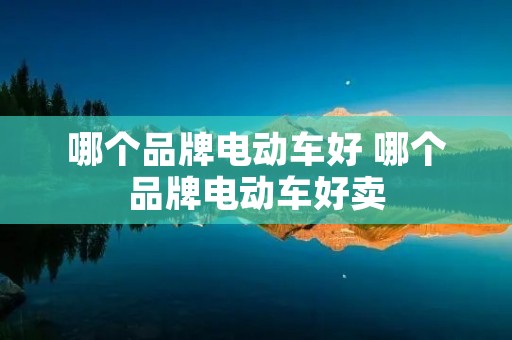哪个品牌电动车好 哪个品牌电动车好卖 哪个品牌电动车好 哪个品牌电动车好卖
