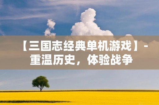 【三国志经典单机游戏】- 重温历史,体验战争