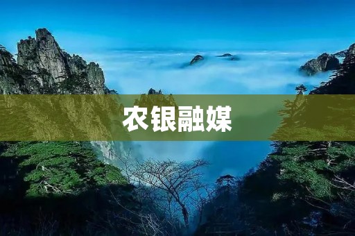 农银融媒：农业金融与新媒体的融合创新