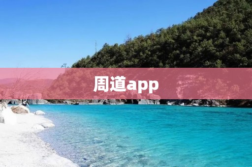 周道app：打造你的新闻资讯宝库