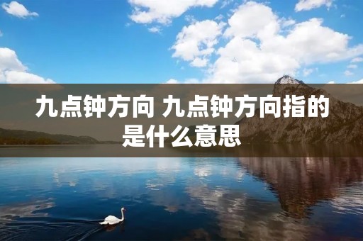 九点钟方向 九点钟方向指的是什么意思