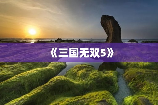 《三国无双5》:疆场之上,谁与争锋?