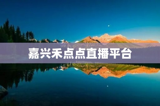 嘉兴禾点点直播平台：打造全新的互动直播体验