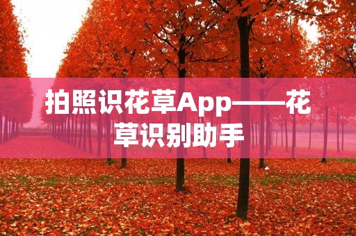 拍照识花草App——花草识别助手