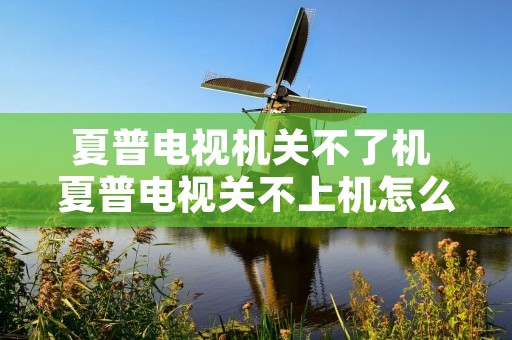 夏普电视机关不了机 夏普电视关不上机怎么回事 夏普电视机关不了机 夏普电视关不上机怎么回事