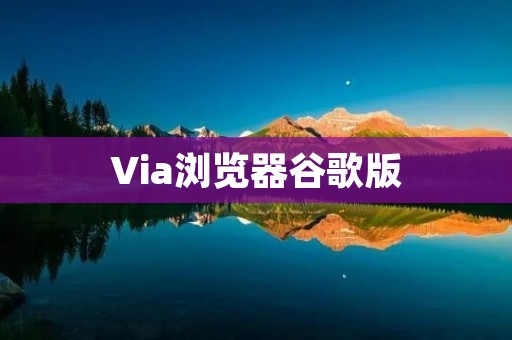 Via浏览器谷歌版:让你的上网体验更加便捷高效 Via浏览器谷歌版:让你的上网体验更加便捷高效