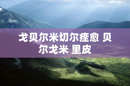戈贝尔米切尔痊愈 贝尔戈米 里皮 戈贝尔米切尔痊愈 贝尔戈米 里皮