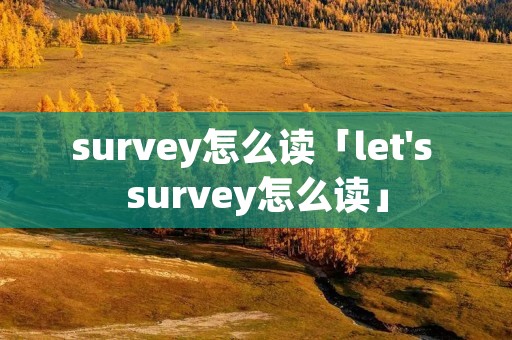 survey怎么读「let's survey怎么读」