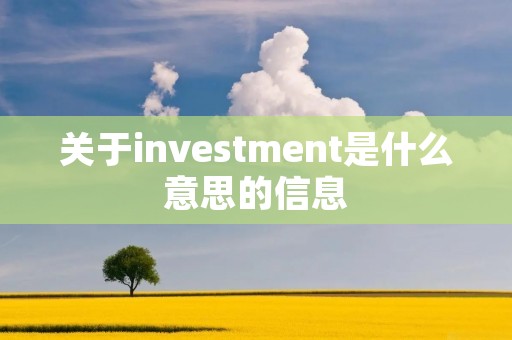 关于investment是什么意思的信息