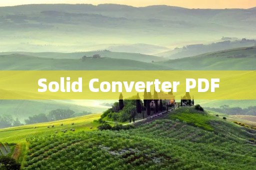 Solid Converter PDF：优秀的PDF转换工具