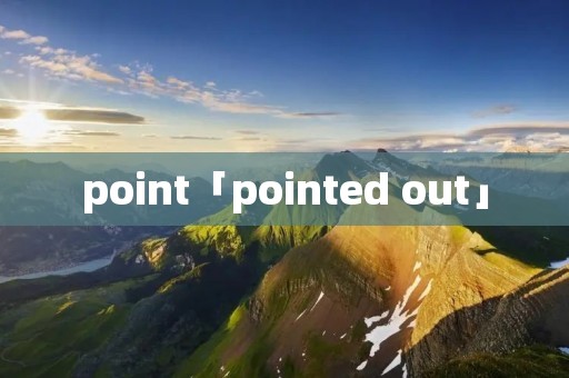 point「pointed out」