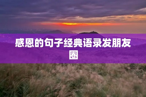 感恩的句子经典语录发朋友圈:感恩,让我们更快乐更幸福
