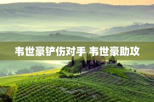 韦世豪铲伤对手 韦世豪助攻