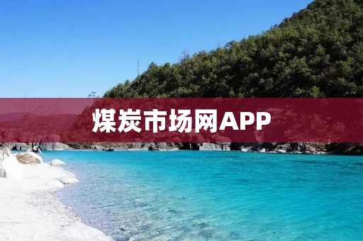 煤炭市场网APP：打开煤炭市场的新大门
