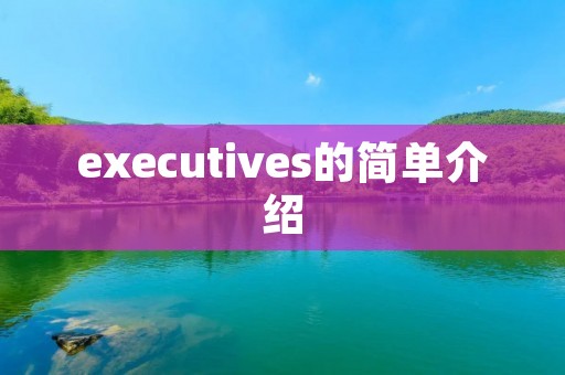 executives的简单介绍