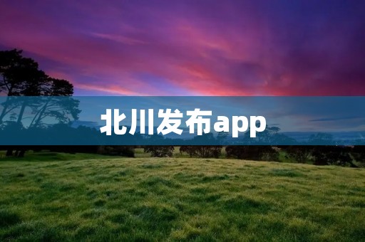 北川发布app：让信息传递更便捷高效